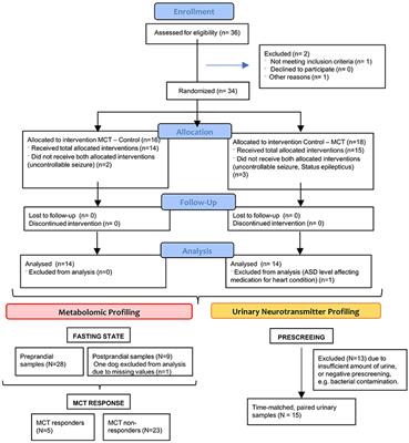 Metabolic fingerprinting of dogs with idiopathic epilepsy receiving a ketogenic medium-chain triglyceride (MCT) oil